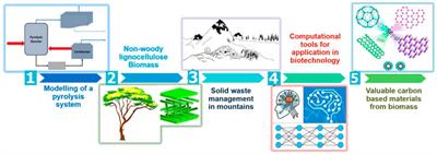 Editorial: Emerging Technologies for Waste Biomass to Energy: Innovations and Research Challenges